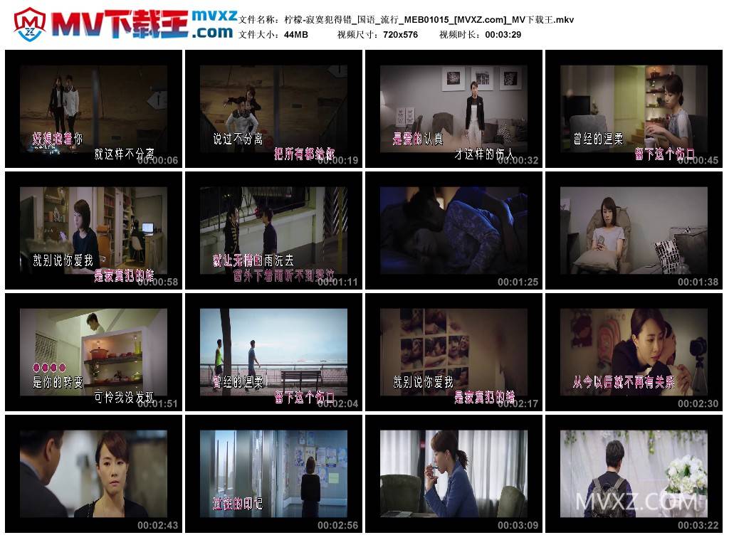 柠檬-寂寞犯得错_国语_流行_MEB01015